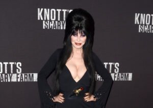 Cassandra Peterson’s Height, Weight, Fun Facts, Net Worth, and More 2 Cassandra Peterson